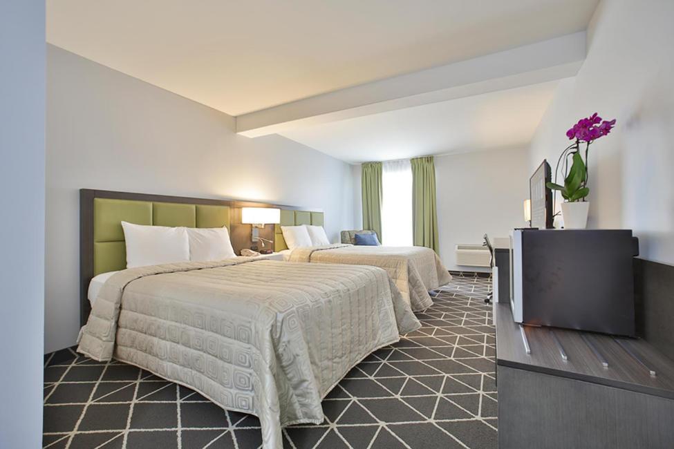King Hotel Palmerston Ngoại thất bức ảnh